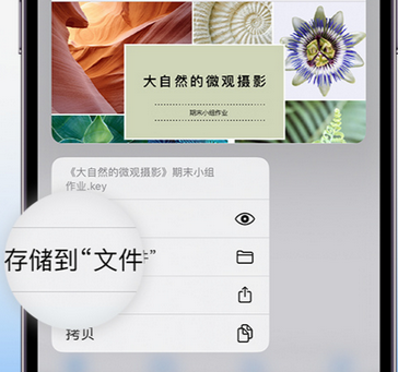 新沂apple维修中心分享iPhone文件应用中存储和找到下载文件