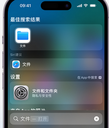 新沂apple维修中心分享iPhone文件应用中存储和找到下载文件 