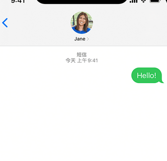 新沂apple维修iPhone上无法正常发送iMessage信息