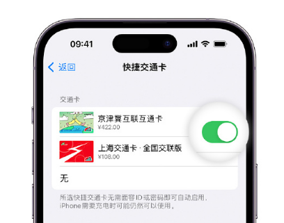 新沂apple维修点分享iPhone上更换Apple Pay快捷交通卡手绘卡面 