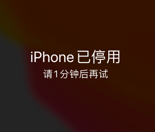 新沂苹果手机维修分享:iPhone 显示“不可用”或“已停用”怎么办？还能保留数据吗？ 