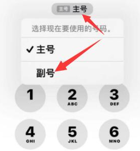 新沂苹果14维修店分享iPhone 14 Pro Max使用副卡打电话的方法 