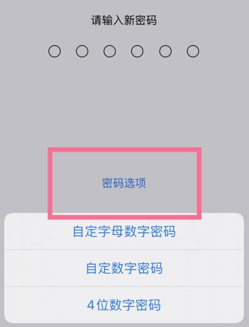 新沂苹果14维修分享iPhone 14plus设置密码的方法 