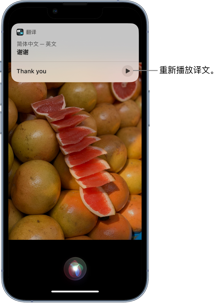 新沂苹果14维修分享 iPhone 14 机型中使用 Siri：了解 Siri 能帮你做什么 