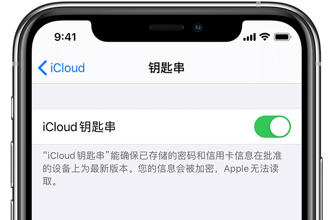 新沂苹果手机维修分享在 iPhone 上开启 iCloud 钥匙串之后会储存哪些信息 