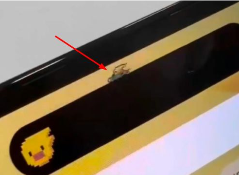新沂苹果14维修分享iPhone 14 Pro Max灵动岛怎么养宠物 