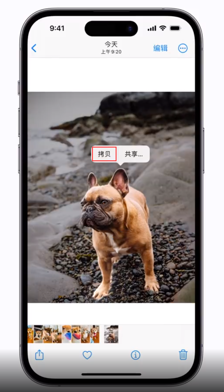 新沂苹果手机维修分享 iOS 16 自带一键抠图功能 