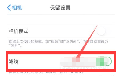 新沂苹果13维修分享iPhone13拍照有绿点是怎么回事 