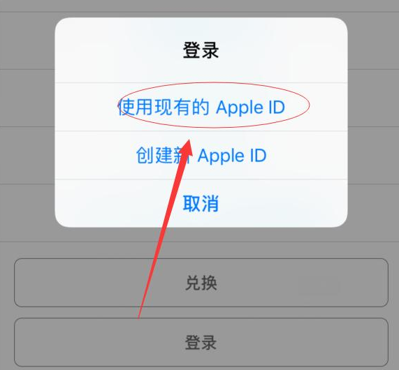 新沂苹果手机维修分享两台iPhone设备可以同时登录一个Apple ID吗 